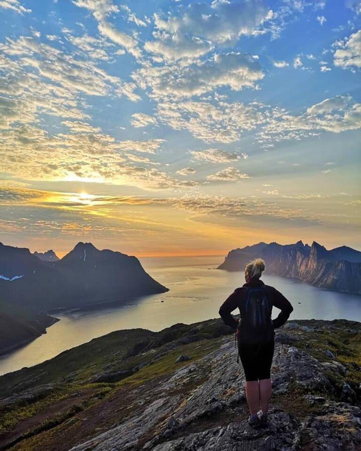 FjordgardRigmorhuset别墅 外观 照片