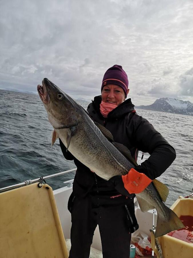 FjordgardRigmorhuset别墅 外观 照片