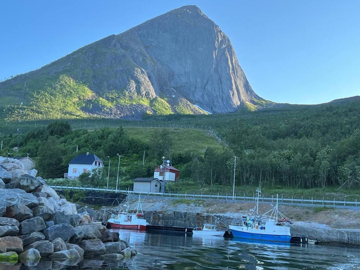 FjordgardRigmorhuset别墅 外观 照片