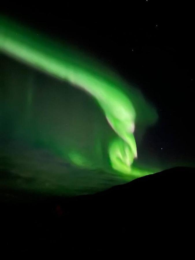 FjordgardRigmorhuset别墅 外观 照片